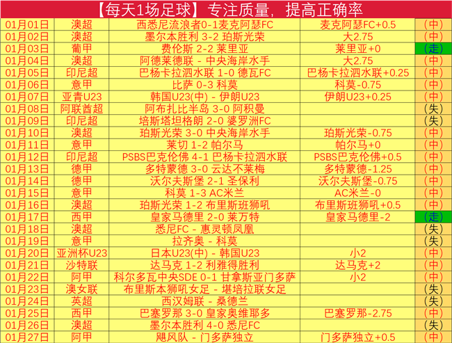 德甲,海达拉传射,建功,开云体育,开云体育官网,开云体育app,开云体育app下载